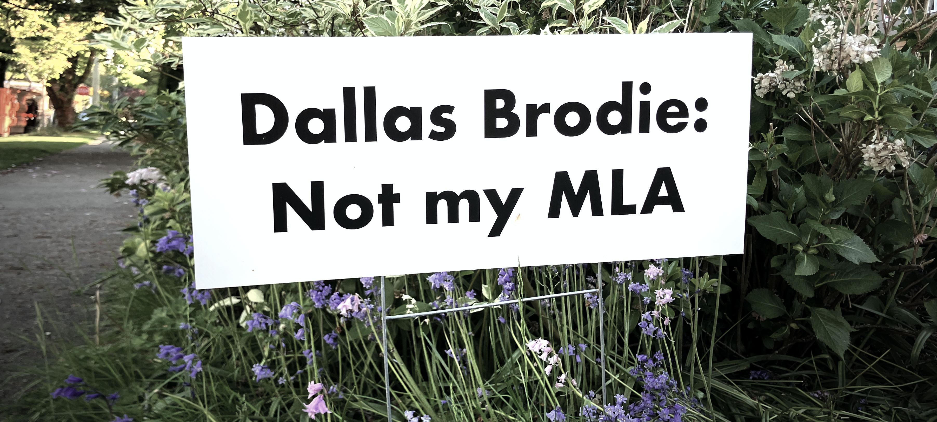 Dallas Brodie — Not My MLA